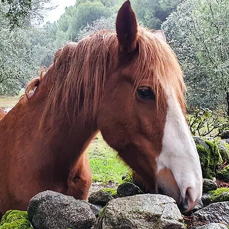 Feriehus El Retiro De Avila