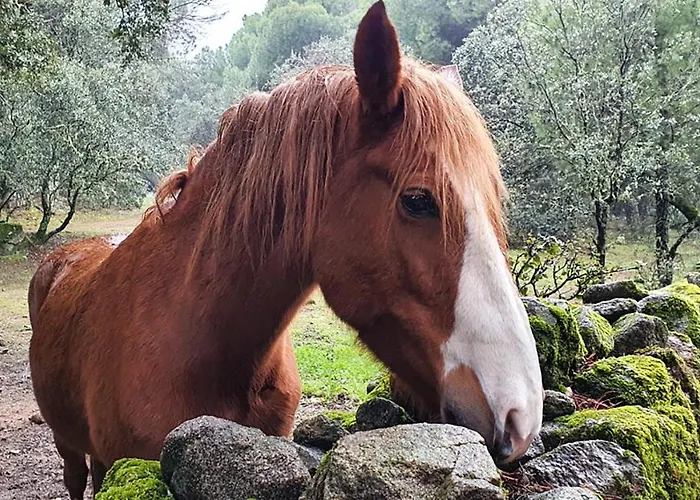 Casa vacanze El Retiro De Avila