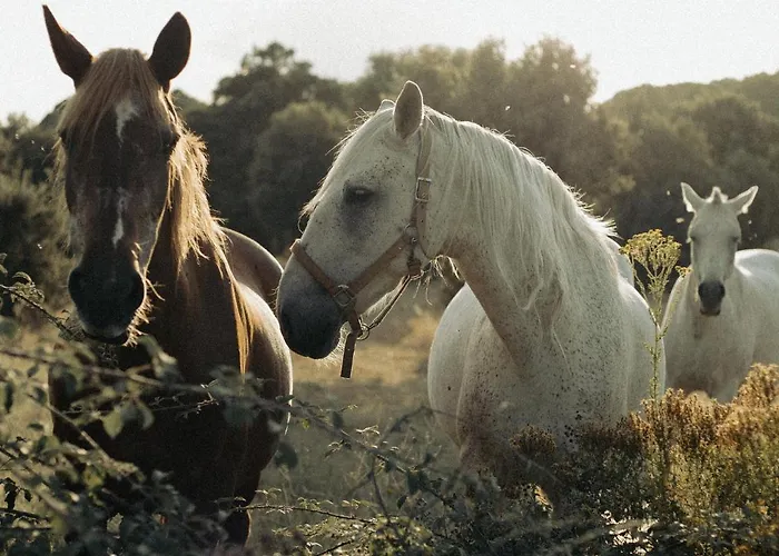 Casa vacanze El Retiro De Avila